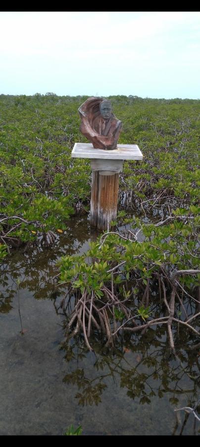 Smalls Cozy Rest With Dock Alice Town  Ngoại thất bức ảnh
